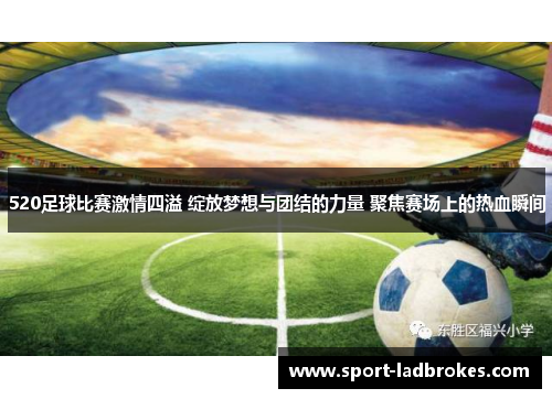 520足球比赛激情四溢 绽放梦想与团结的力量 聚焦赛场上的热血瞬间