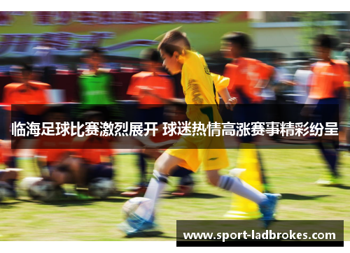 临海足球比赛激烈展开 球迷热情高涨赛事精彩纷呈